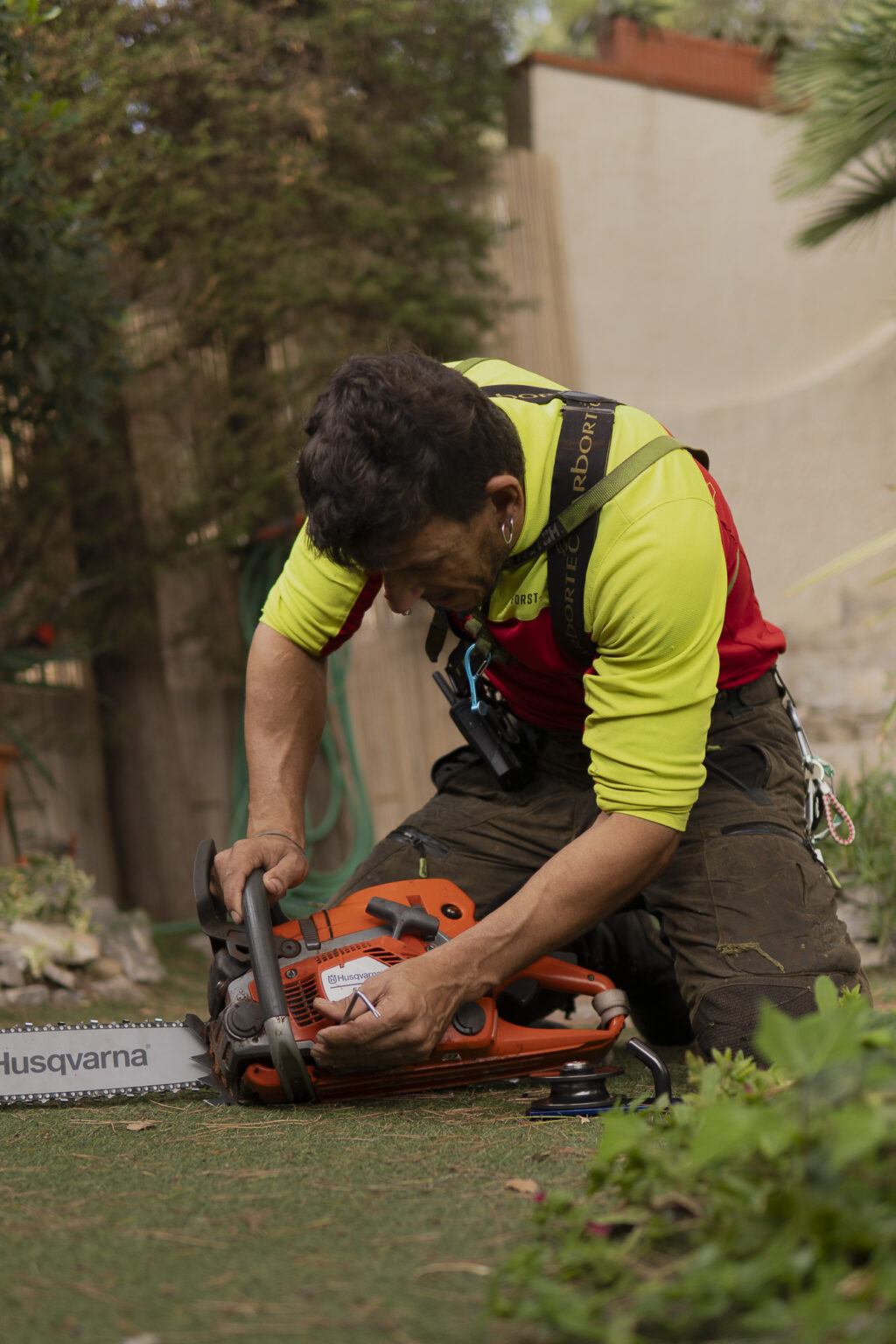 Limpieza y saneamiento de palmera con equipo de seguridad profesional.
