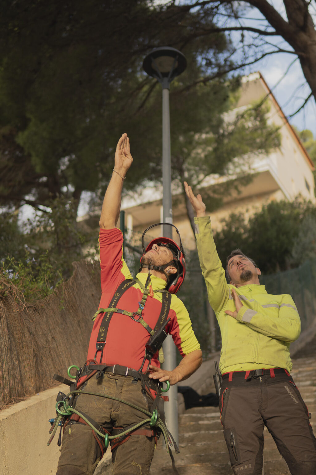 Aplicación de métodos de control de plagas en pinos de la zona costera.